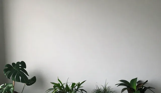 云平台搭建中技术团队性能优化建议